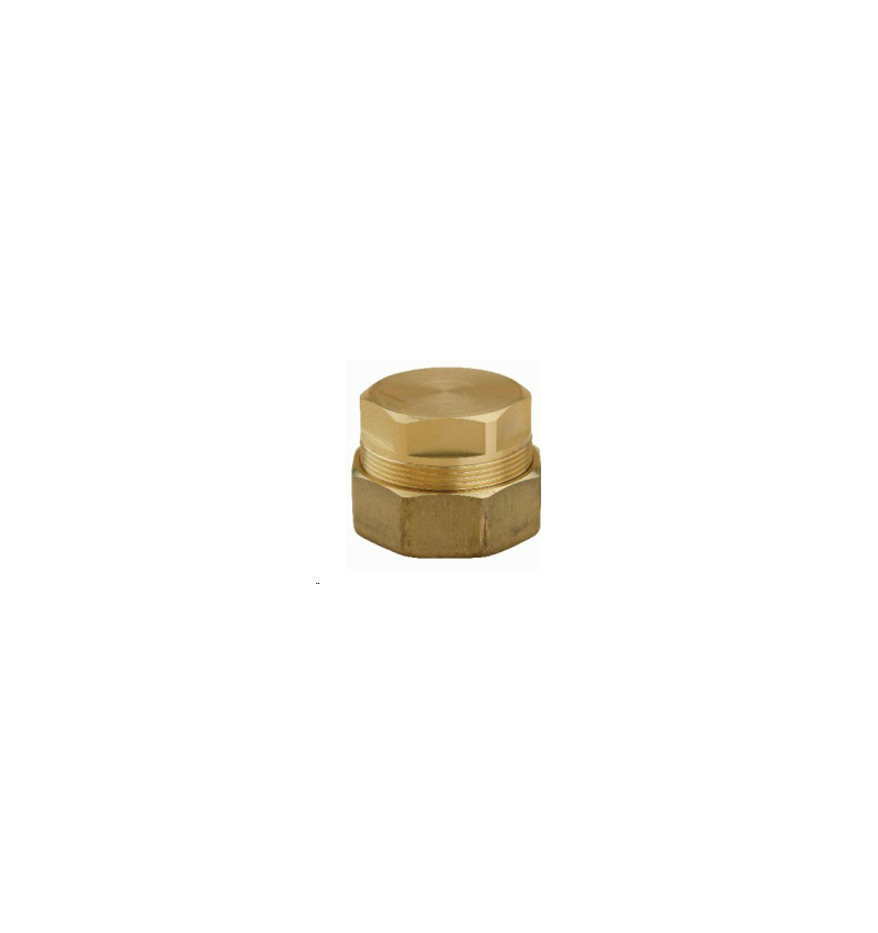 BOUCHON TUBE PE 20 - CAL 15 - 8031351 GRDF BOUCHON TUBE PE 20 - CAL 15 - 8031351 GRDF
