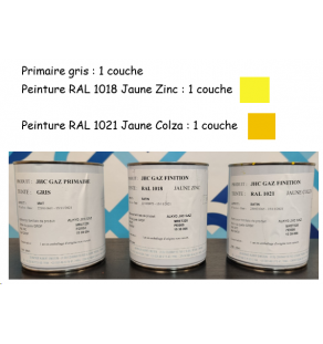 PEINTURE CICM - Peinture en POT de 1 litre - RAL 1021 Jaune Colza - 1539006
